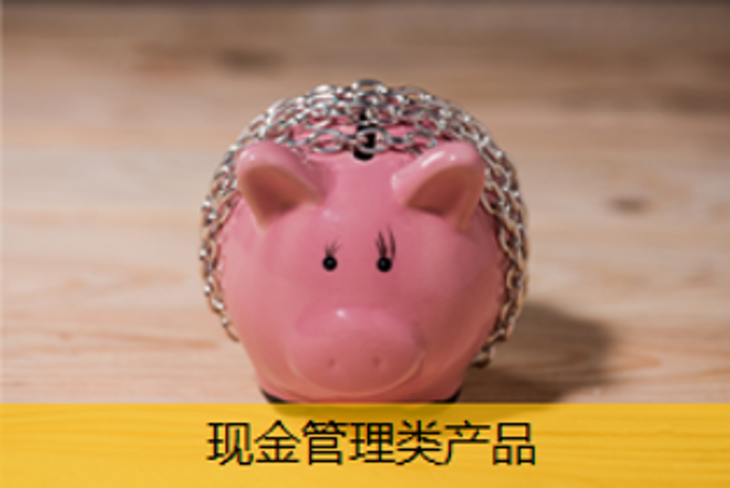 現(xiàn)金管理類(lèi)產(chǎn)品